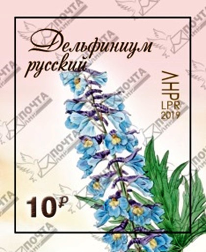 Безымянный.jpg
