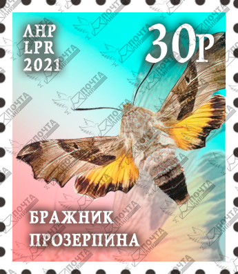бражник.png