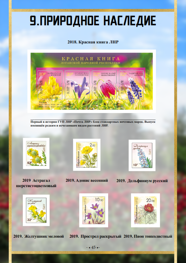 Выставка 00_045.png