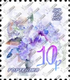 Гортензия 10р.jpg Гортензия 10р.jpg