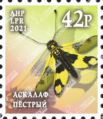 Группа 2 копия 92.jpg Группа 2 копия 92.jpg