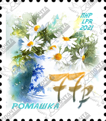romashka-_-440a_.png