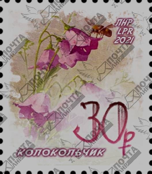 image_2021-07-20_10-23-09.png